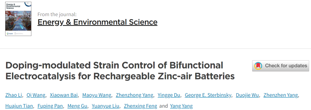 杨阳/谷猛/刘远越/冯振兴EES: 四单位联发！锌空气电池双功能电催化的掺杂调节应变控制