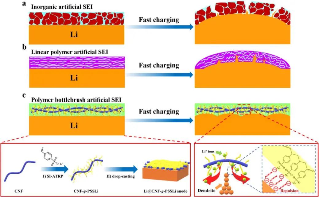 中山大学EnSM: 一种用于快充锂金属电池的基于聚合物刷的单离子导电人工SEI膜