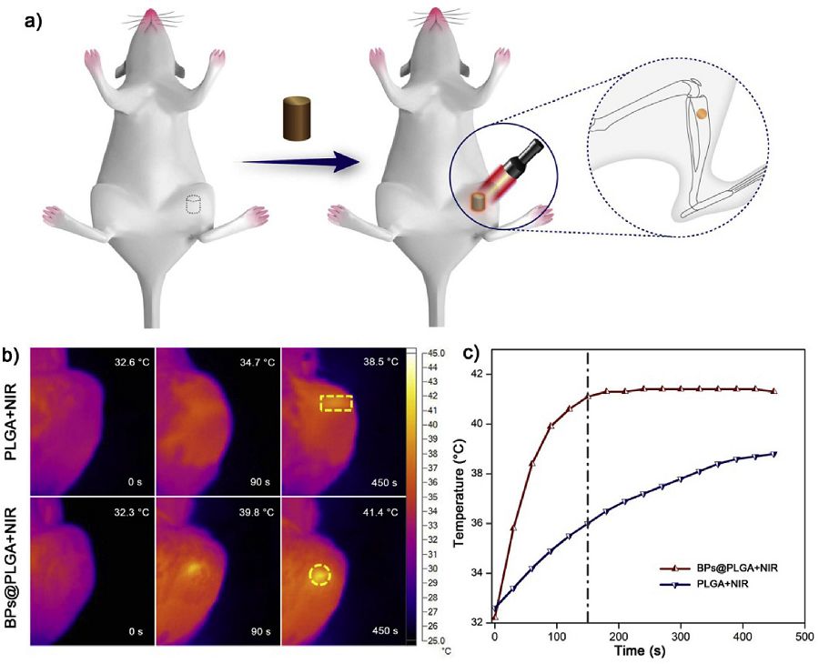 王怀雨Biomaterials：微量黑鳞造就光热响应智能生物材料，促进骨缺损再生