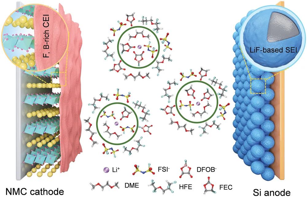 郑洪河/黄云辉AM：电解液设计实现具有定制电极-电解质界面的高安全性和高性能硅负极