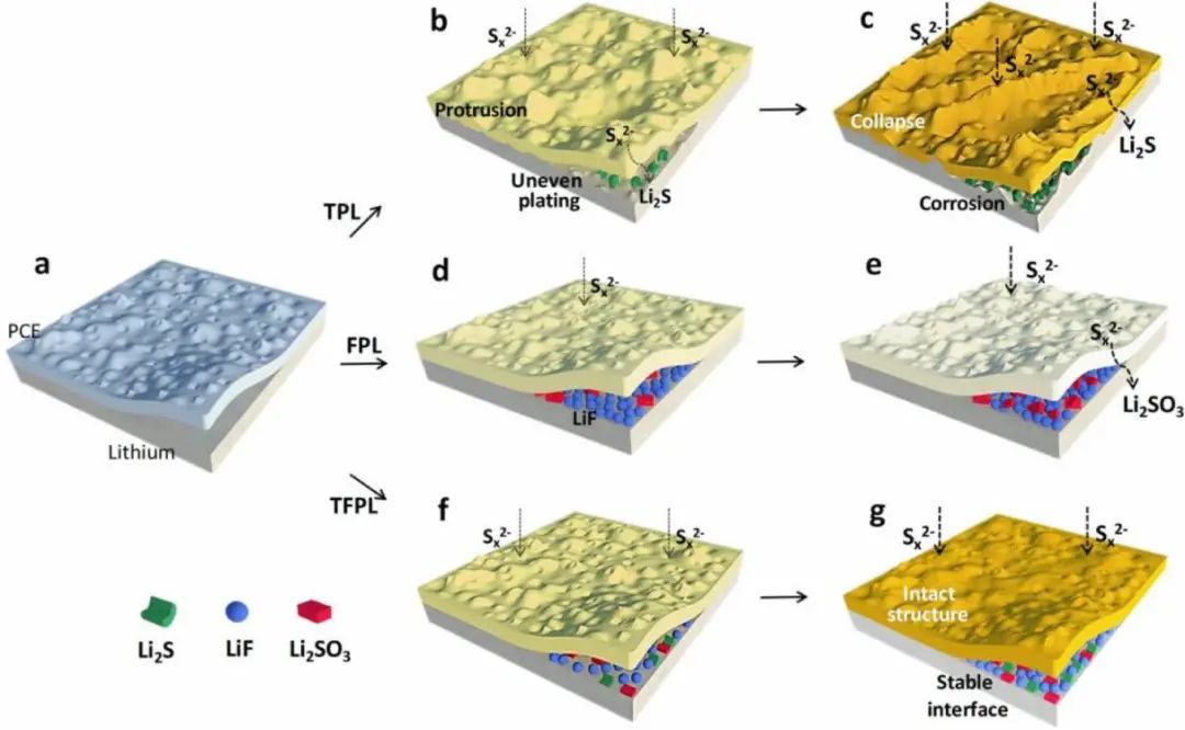 文锐EnSM: 全固态锂硫电池阴离子可调界面稳定性的演化过程和降解机制