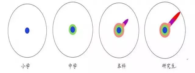 杰青、长江学者、复旦教授彭慧胜谈:研究生阶段你该如何规划？