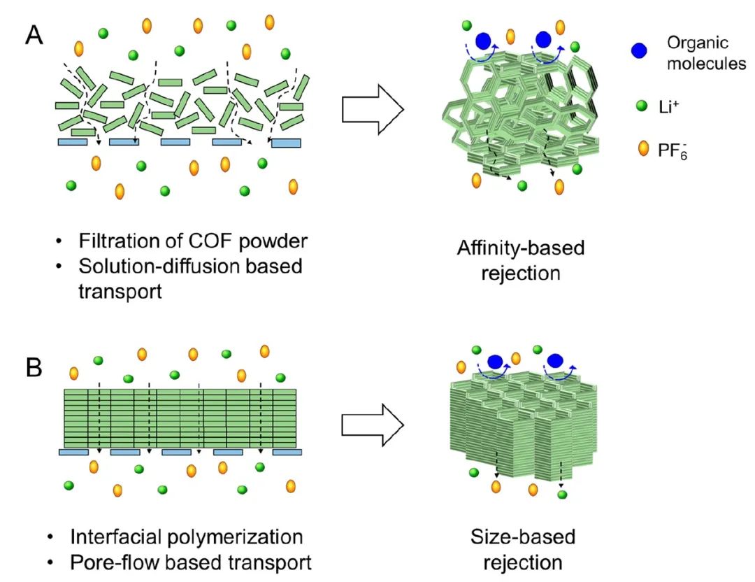 ACS Energy Lett.：利用具有尺寸选择性COF抑制有机电池中的穿梭效应
