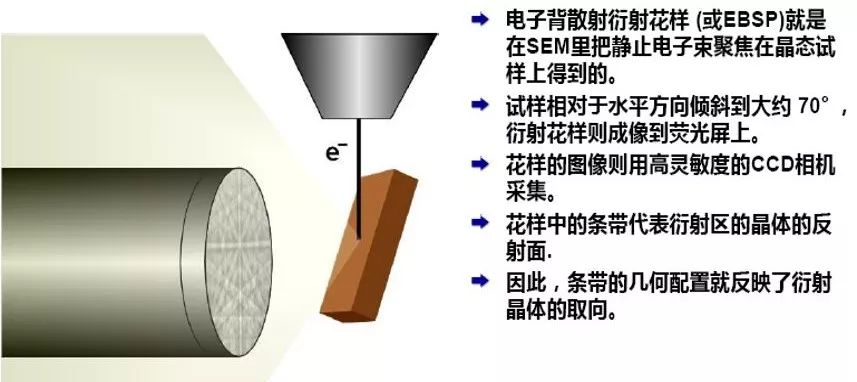 秒懂干货丨EBSD的工作原理、结构、操作及分析