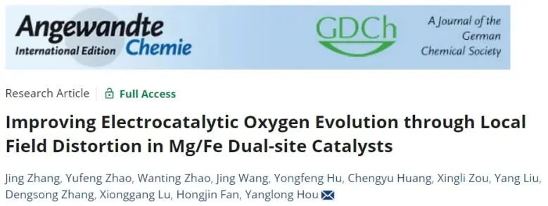 侯仰龙/王静/赵玉峰Angew：Fe-N-C结构中引入Mg，诱导局部场畸变以改善电催化OER动力学