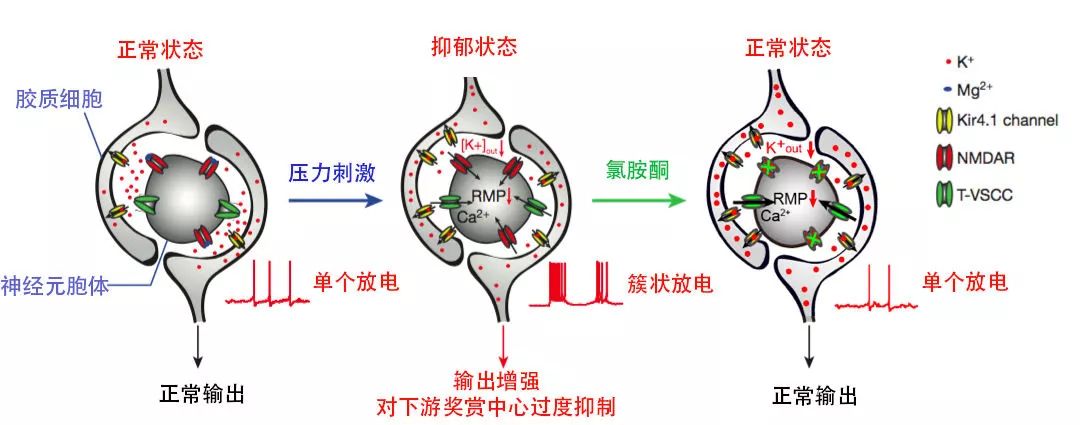 三次被提名院士，学生人手一篇CNS，女神胡海岚再获联合国“世界杰出女科学家奖”！