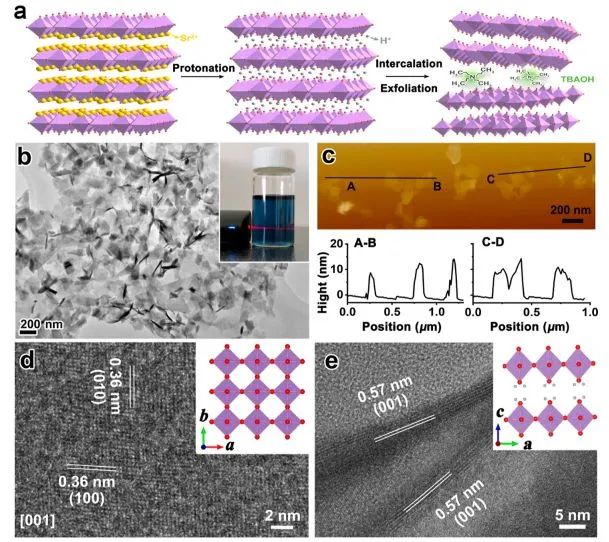 催化顶刊集锦：Angew./JACS/AFM/ACS Catal./Small等最新成果