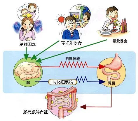 连发2篇Science吐槽科研压力大，喝瓶红牛继续肝，身体崩溃送急诊！​答应我，爱自己！