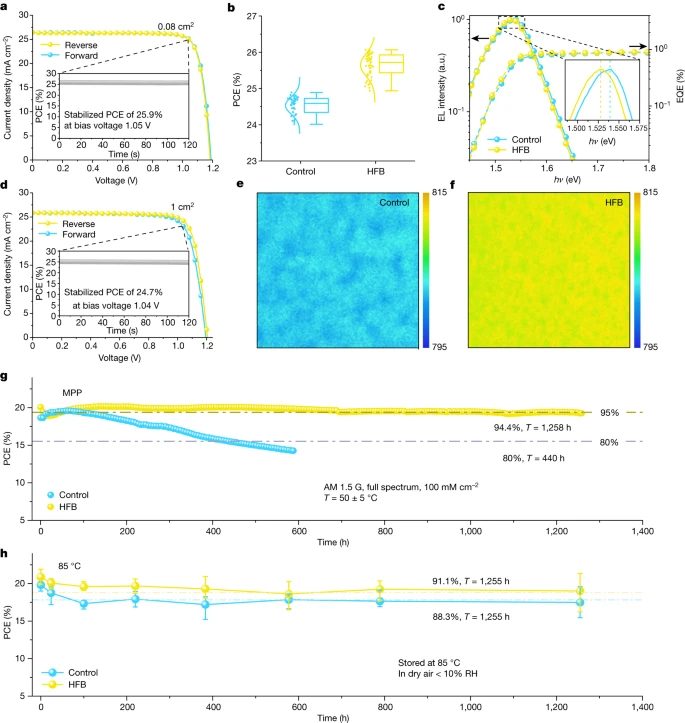 北京大学周欢萍，最新Nature！