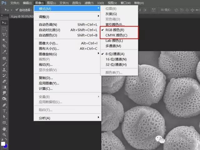 【制图】真的超级简单，2步解决电镜图伪彩上色