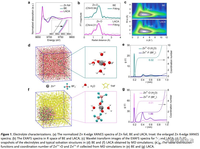 【DFT+实验】Angew：低温锌金属电池的局部阴阳离子聚集加速水电解质—Jian Yang