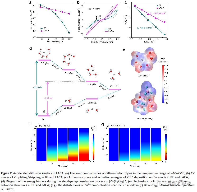 【DFT+实验】Angew：低温锌金属电池的局部阴阳离子聚集加速水电解质—Jian Yang