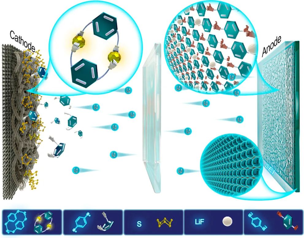 郑大付永柱/郭玮JACS: 用于改善可充电锂硫电池界面化学的异构有机二硫醇添加剂