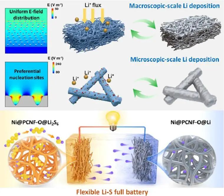 刘天西/缪月娥EnSM: 氧官能化多孔框架上的可调电场分布触发的柔性锂硫全电池的多尺度均匀锂调控