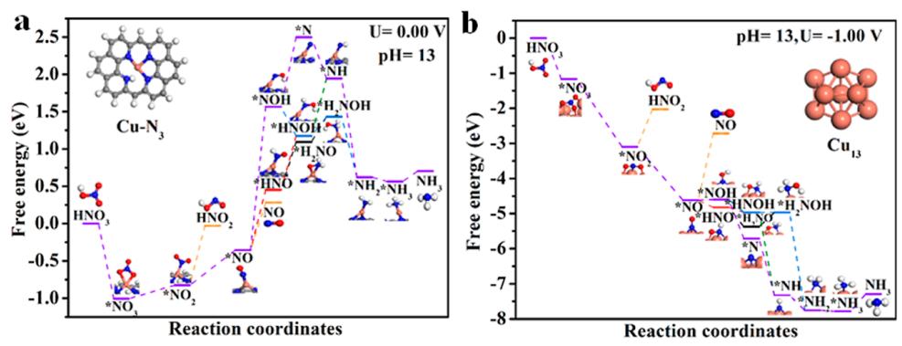 大连化物所/厦大JACS：电位驱动的 Cu 单原子重构以促进电化学还原硝酸盐