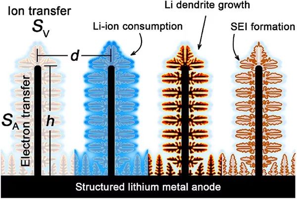 【讲锂】一个理想的3D结构锂金属负极应该具有哪些品质？