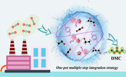 ACS Sustainable Chem. Eng.：一锅-多步集成策略！多唑聚离子液体助力CO2化学固定为链状碳酸酯