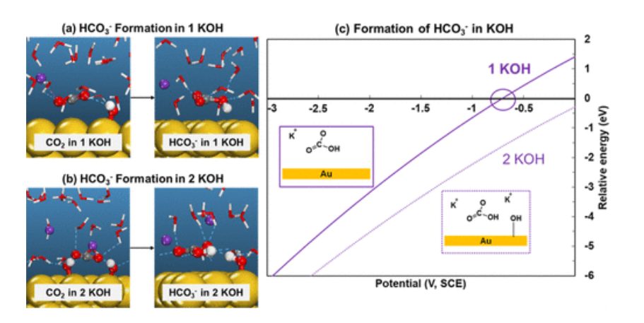 ACS Catalysis：KOH浓度的影响和OH–在CO2电催化还原中的作用