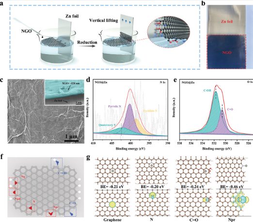 陈人杰/谢嫚AM：氮掺杂石墨烯超薄表面涂层实现稳定锌负极