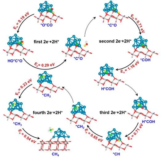 催化顶刊集锦：Angew./JACS/AFM/ACS Catal./Small等最新成果