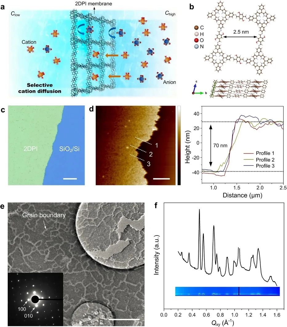 ​冯新亮院士团队，最新Nature子刊！