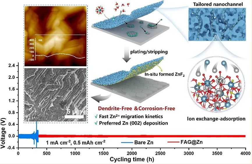 ​KAUST/江大ACS Nano：通过增强离子传输动力学和调节Zn(002)沉积实现高度可逆的Zn负极