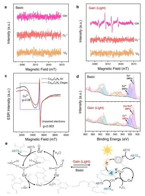 【计算+实验】8篇顶刊速递：Nature子刊、JACS、AEM、AFM、ACS Catalysis等！