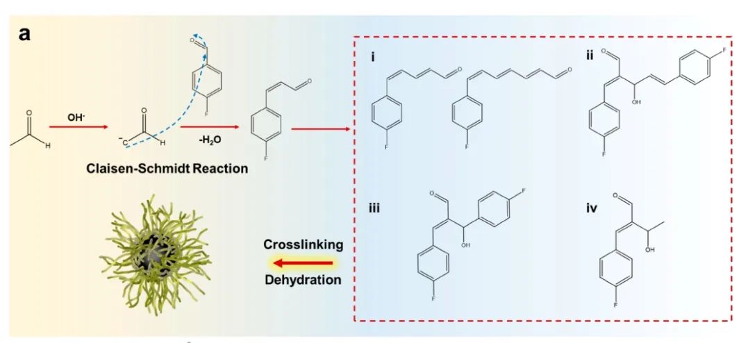 ​中南纪效波ACS Nano：定制Li+动力学和界面氟化以获得稳定的固体锂电池