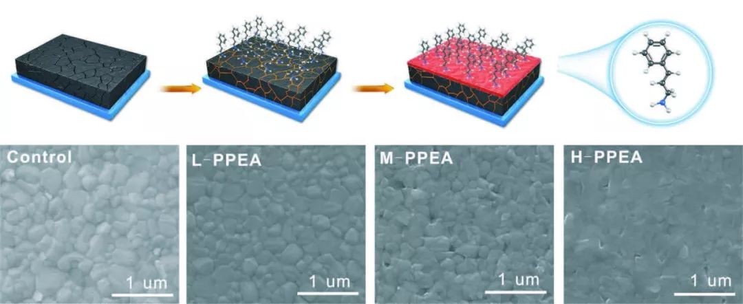 西交吴朝新AFM：设计共轭配体分子，解决钙钛矿太阳电池核心问题