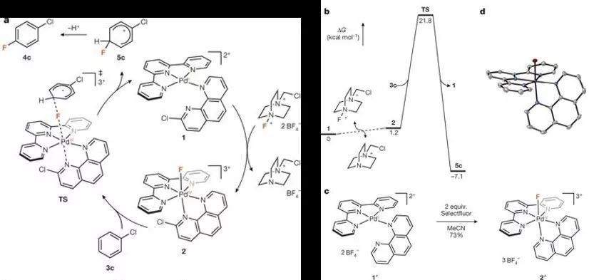 催化已不再是一门纯粹的实验科学，登顶刊还需要一个给力助攻！