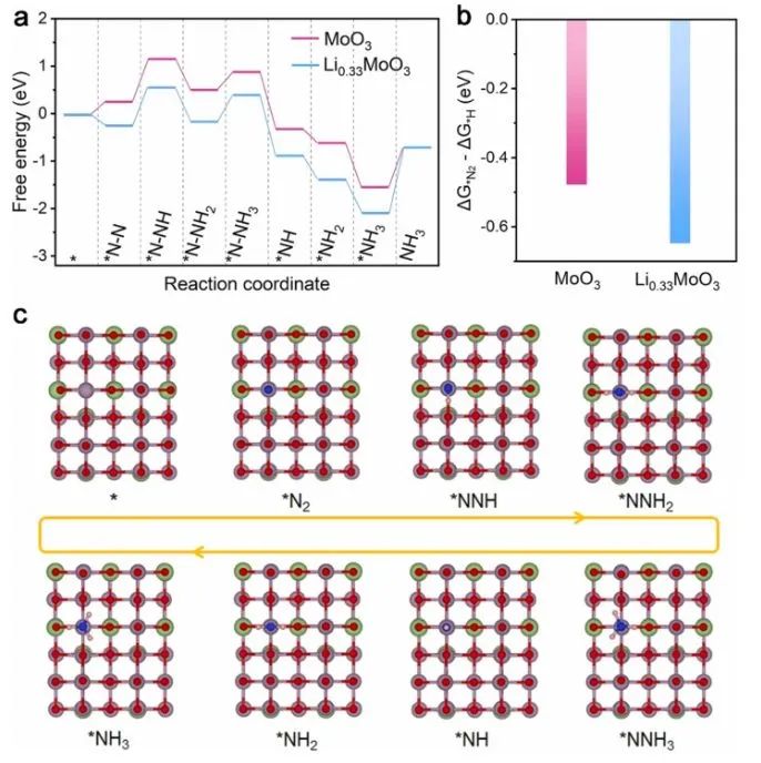 山大/港城大​Nano Energy：锂化策略立大功！活化MoO3为LixMoO3用于高效光电化学氨合成