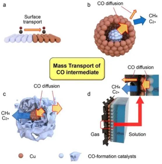 南科大顾均ACS Catalysis: 剖幽析微：基于CO中间体的传质设计用于CO2电还原的Cu基串联催化剂