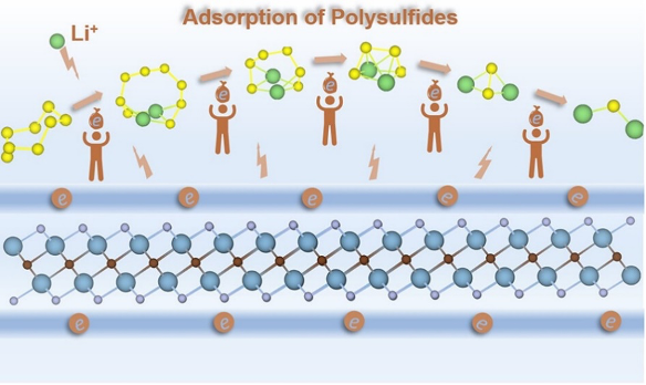 JPCL快讯｜电子化合物新领域：阴离子电子调控助力锂硫电池