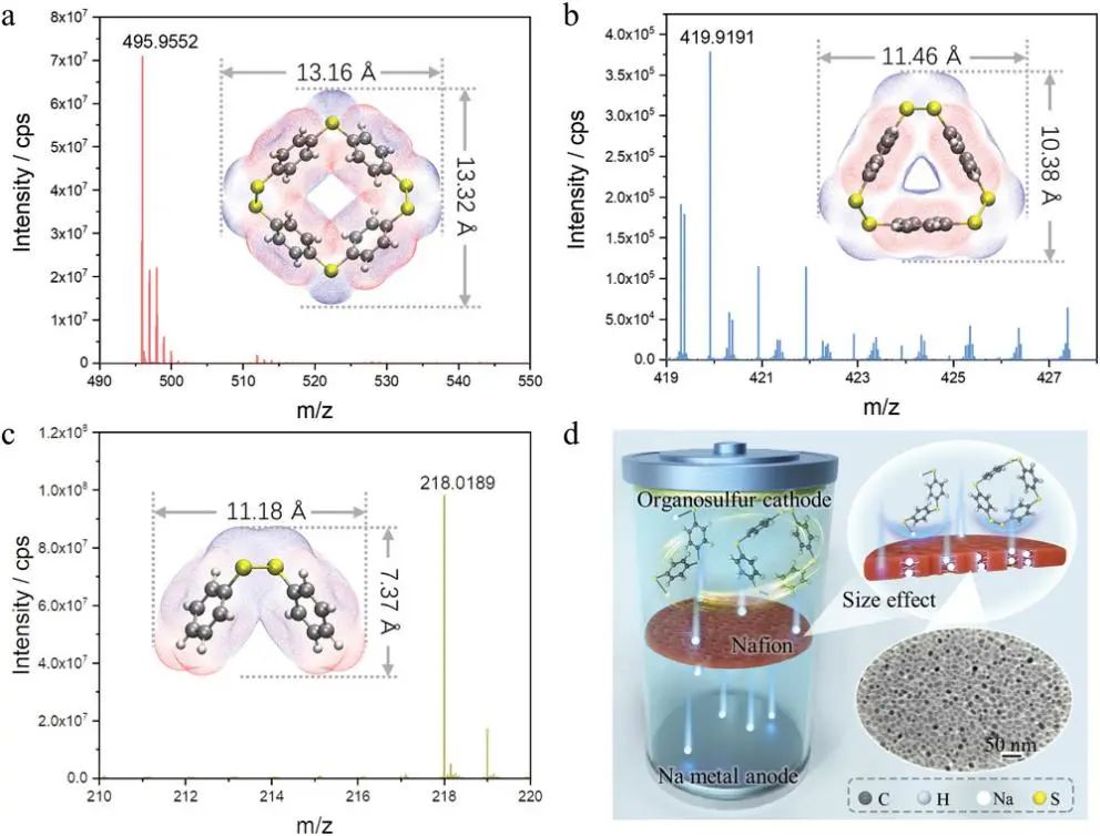 郑州大学AM：有机硫和原位生成低聚物的尺寸效应实现高利用率的钠-有机硫电池