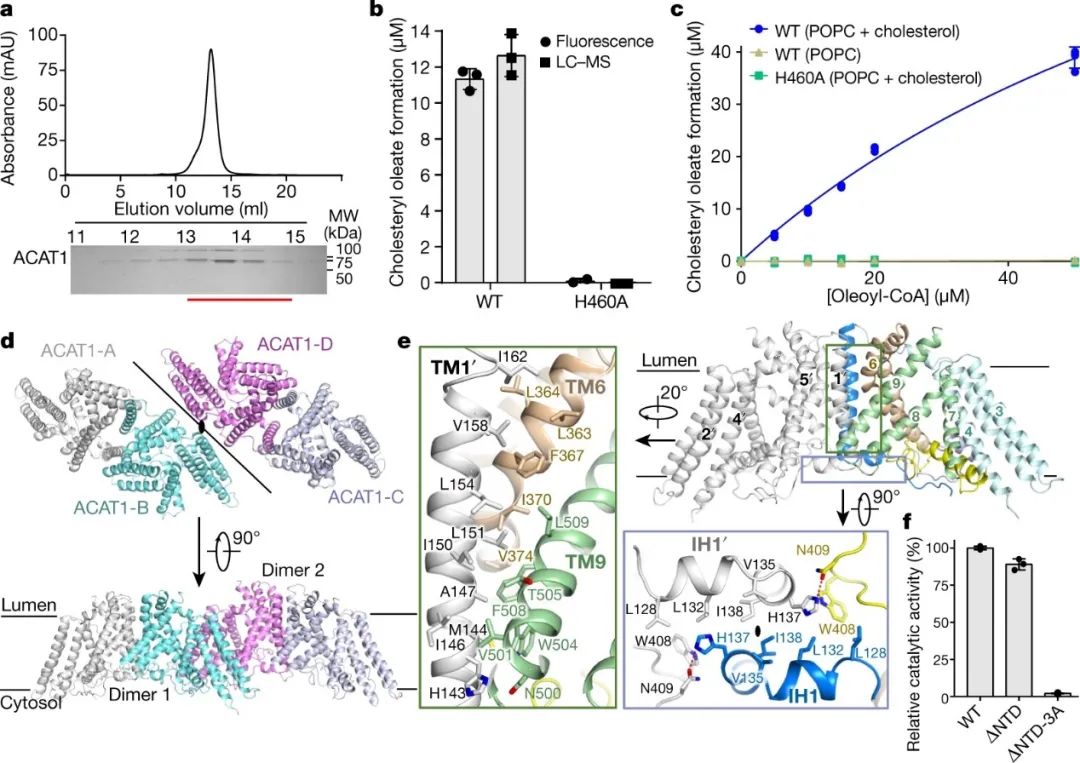 霸气，继Science背靠背，颜宁又两篇Nature背靠背，争取Cell背靠背……