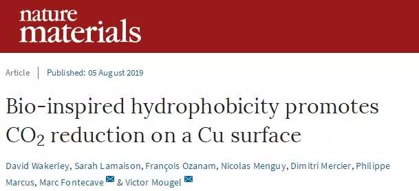 Nature Materials：来自大自然的启示，构建高效CO2RR界面