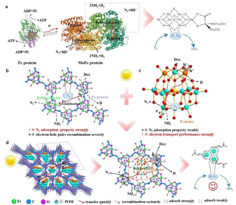 【计算+实验】8篇顶刊速递：Nature子刊、JACS、AEM、AFM、ACS Catalysis等！