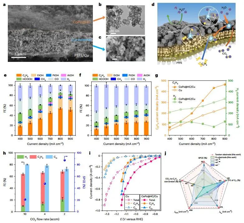 重磅！Edward H. Sargent院士，再发Nature Nanotechnology！