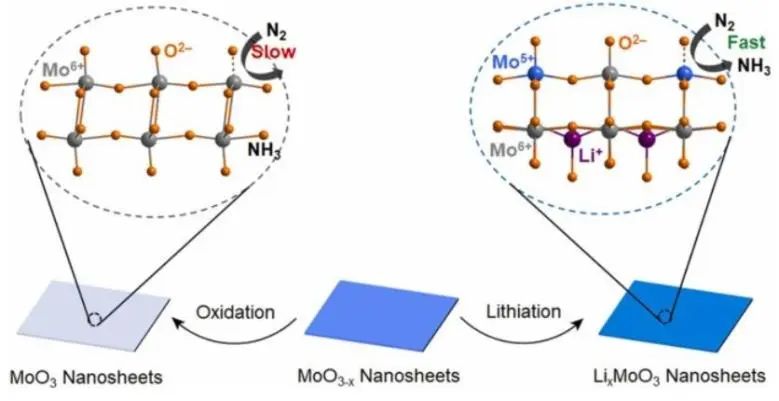 山大/港城大​Nano Energy：锂化策略立大功！活化MoO3为LixMoO3用于高效光电化学氨合成