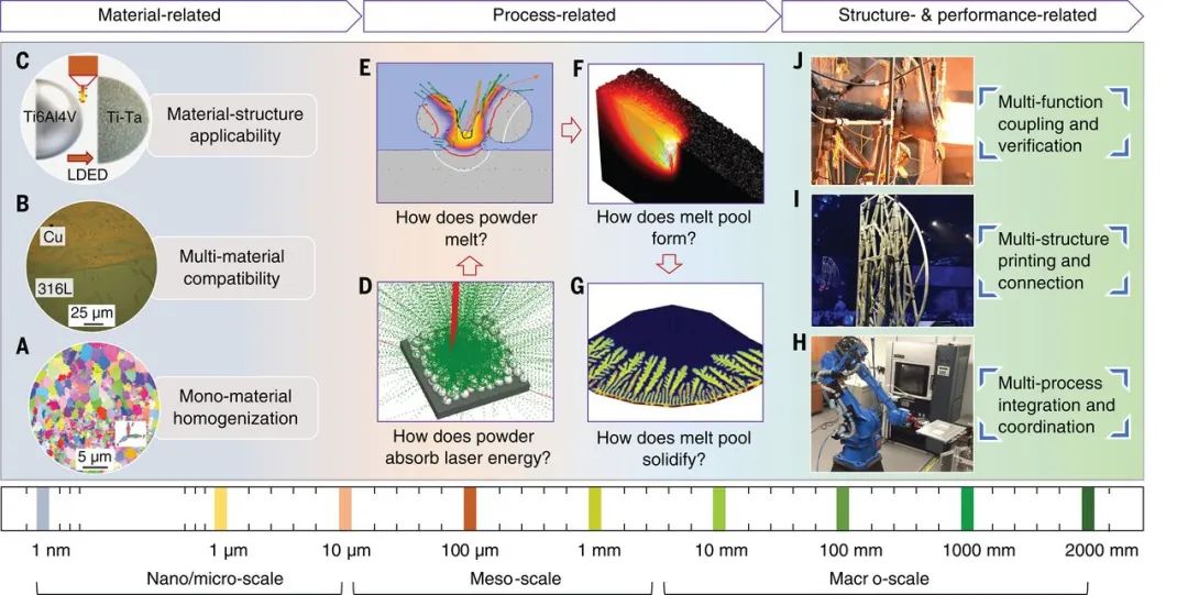 “零的突破”！这所高校一作发Science