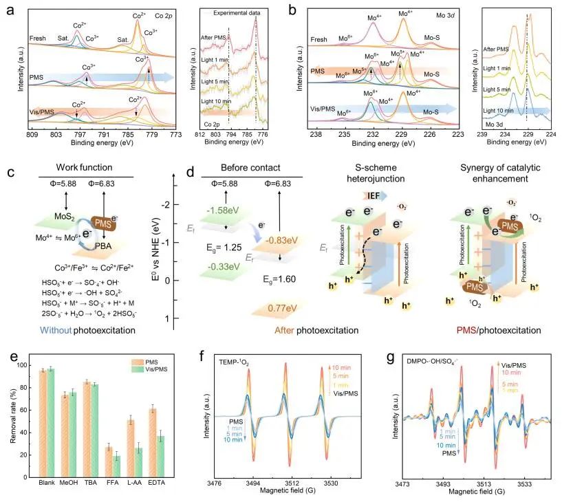 王威/刘冬梅Nature子刊：PBA/MoS2@CSH高效催化PMS！