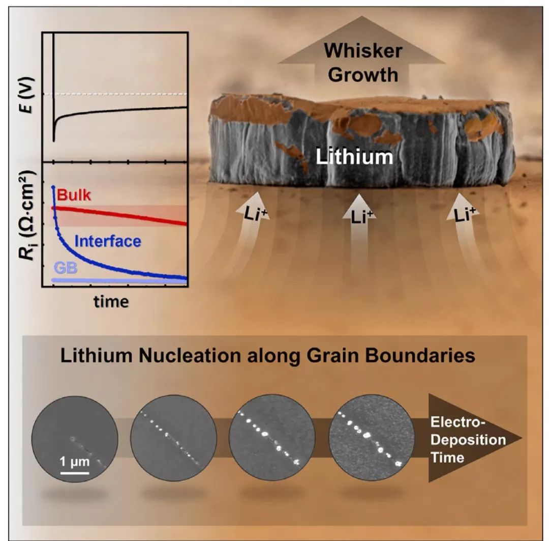 【锂电】Joule：当锂金属负极与石榴石型固态电解质亲密接触，如何构建无枝晶锂负极？