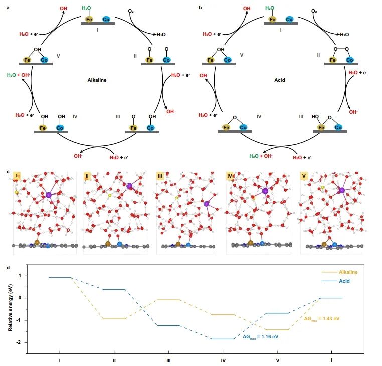 陈胜利/吴宇恩Nature子刊：M-N-C上双电层微环境依赖pH值，显著影响ORR活性