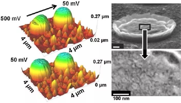 【案例解析】电池研究中的AFM表征：电化学反应中的形貌变化、纳米力学和电学性能
