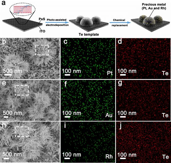 【催化】光辅助电沉积海胆状Te模板实现高效贵金属析氢