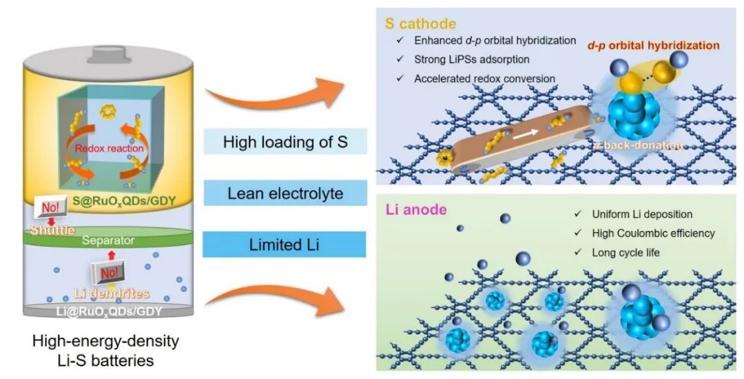 化学所李玉良/山大李国兴AM：石墨炔负载RuOx量子点助力高性能锂硫电池