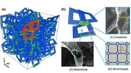 拉近理论与实验距离，王晓杰团队成功构建石墨烯泡沫孔片网络拓扑模型