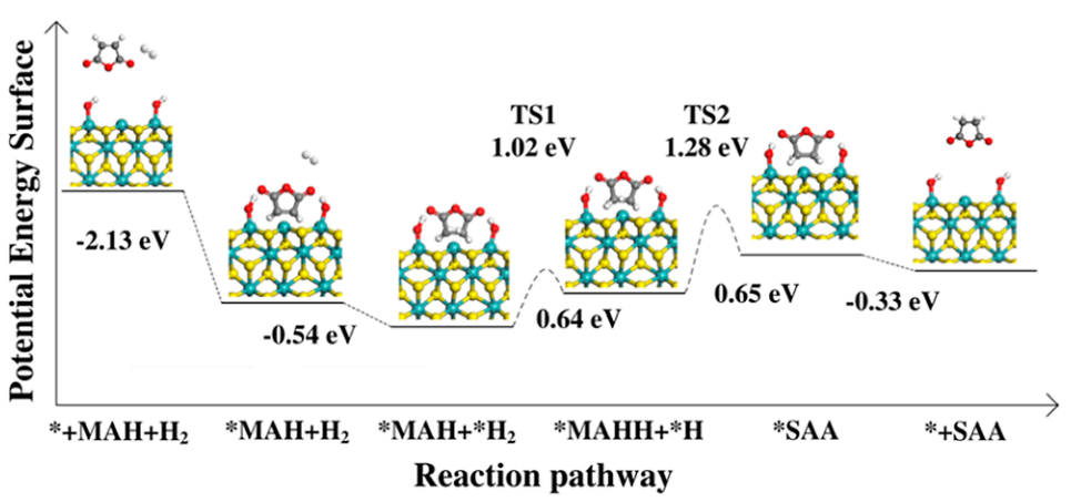 娄阳ACS Catalysis：二维 1T-MoS2边缘位点促进马来酸酐选择性加氢