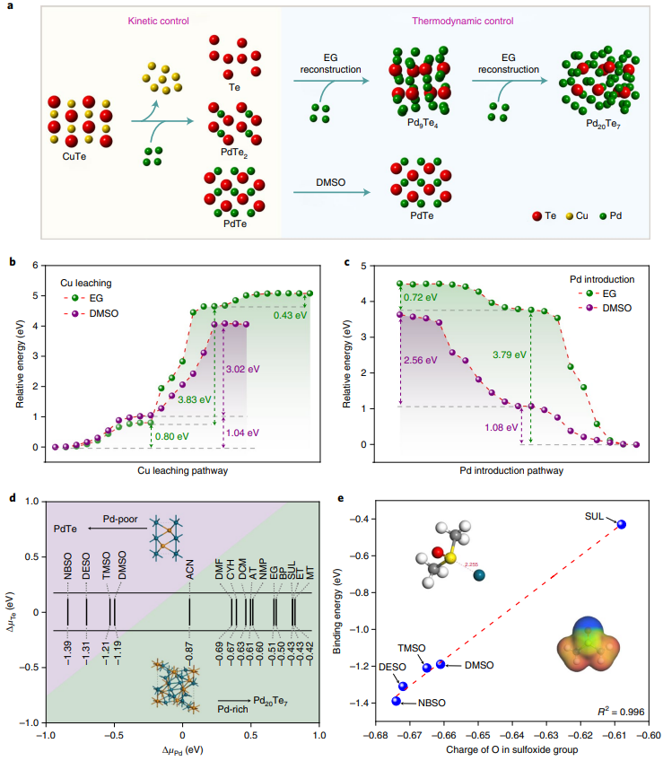 黄小青&徐勇等合作，最新Nature Synthesis！