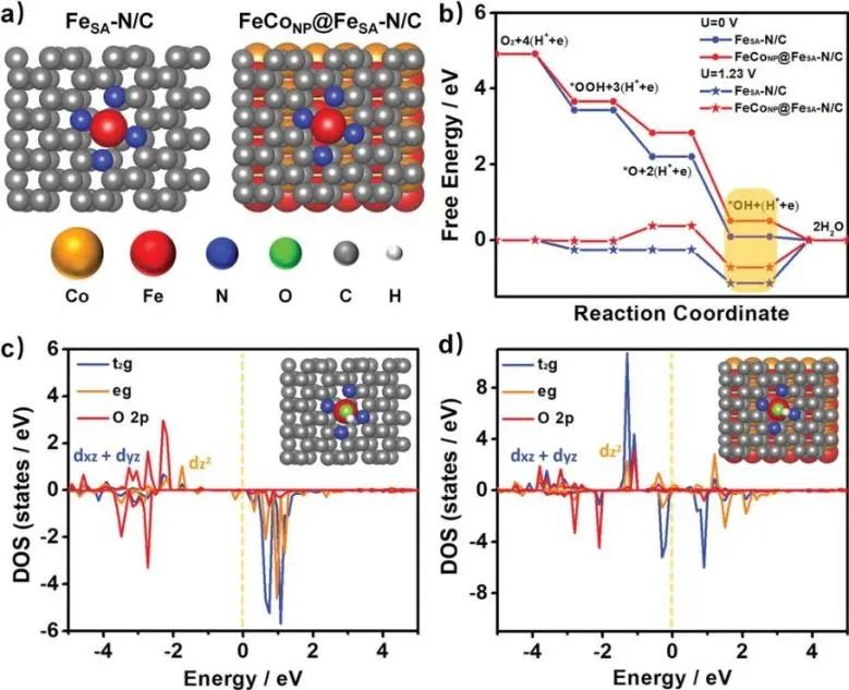 催化顶刊集锦：Angew./JACS/AFM/ACS Catal./Small等最新成果